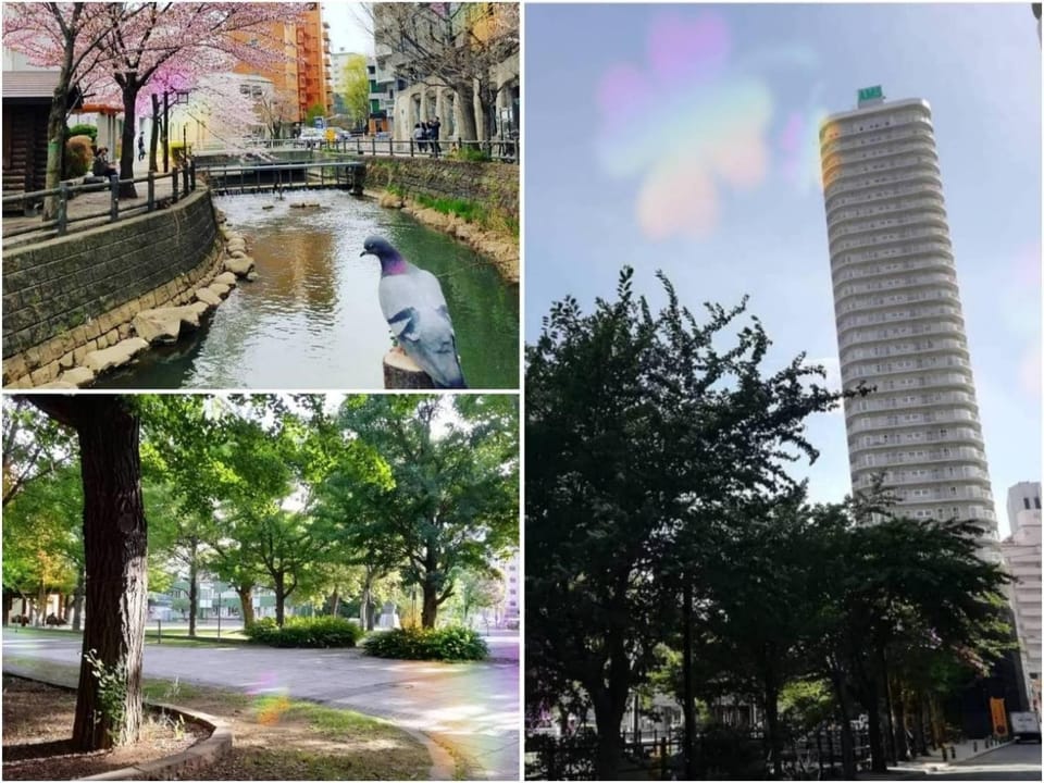 AMS Tower Nakajima Room 505 - Vacation STAY 8388 Apartment in Sapporo
