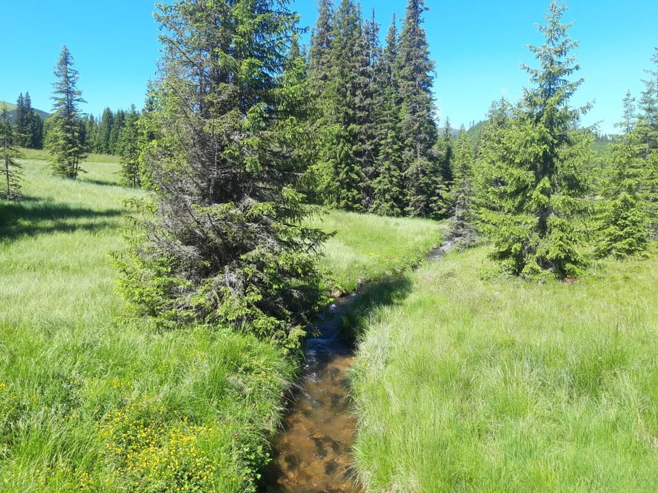 Natural landscape, Skiing, Hiking, Cycling, Family