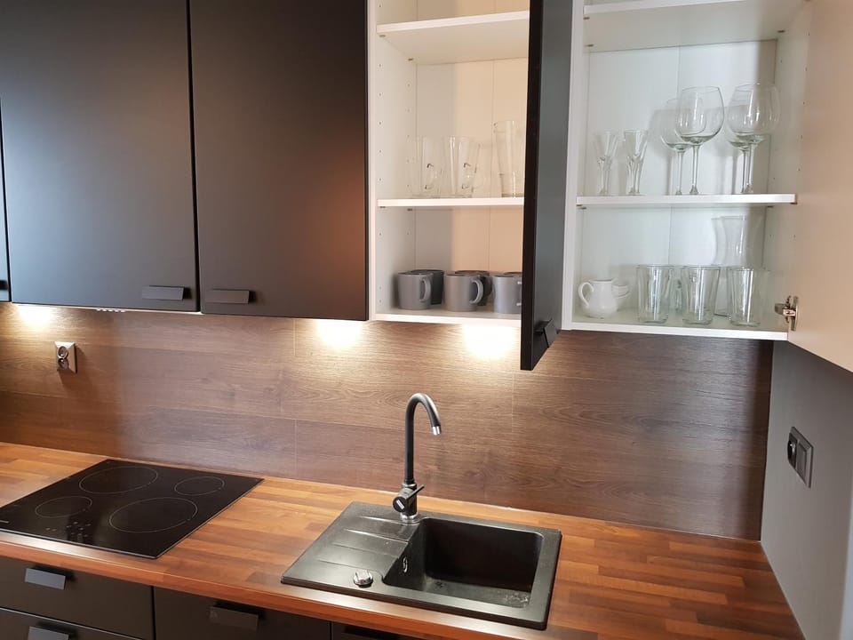 Kitchen or kitchenette, minibar, stove