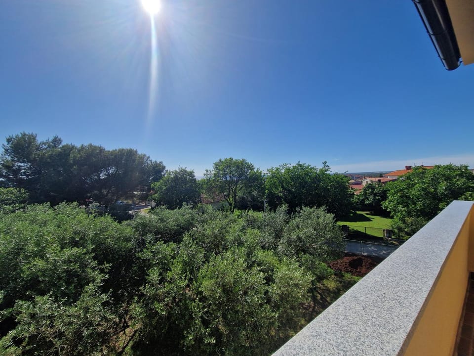 Natural landscape, Balcony/Terrace, Sea view
