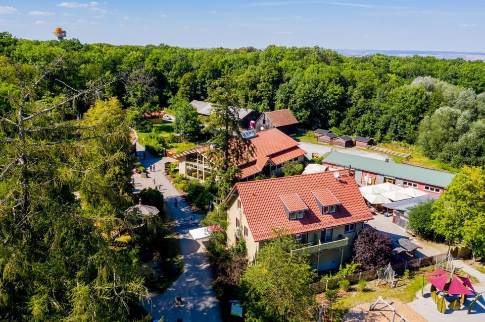 Patio, Restaurant/places to eat, Spring, Day, Bird's eye view, Summer