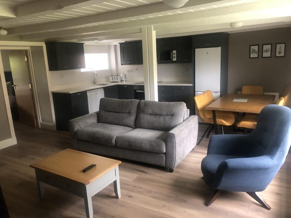 Kitchen or kitchenette, Living room, Seating area, Dining area
