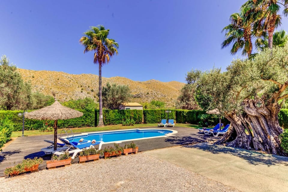 Natural landscape, Garden, Garden view, Pool view, Swimming pool