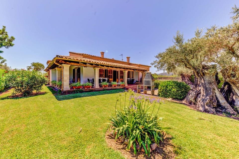 Property building, Off site, Garden