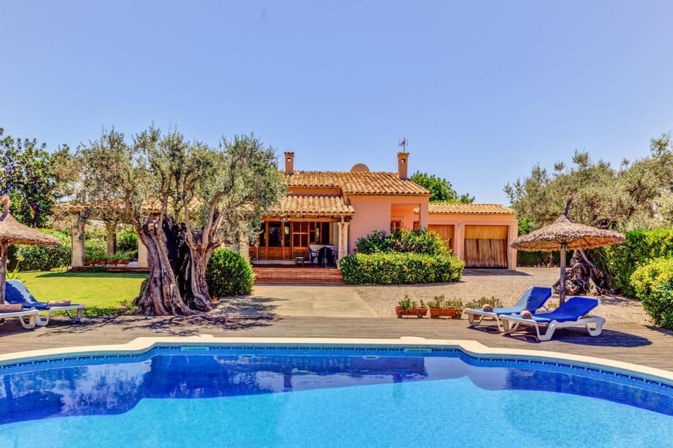 Garden, Garden view, Pool view, Swimming pool, Swimming pool, sunbed