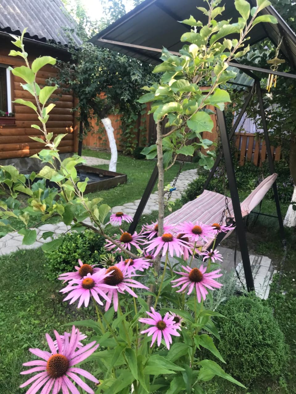 Garden view