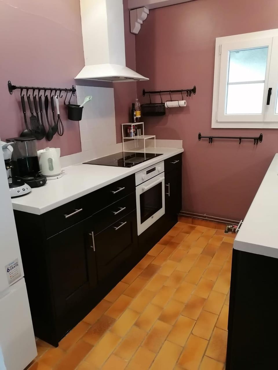 Kitchen or kitchenette, minibar, pet friendly, stove