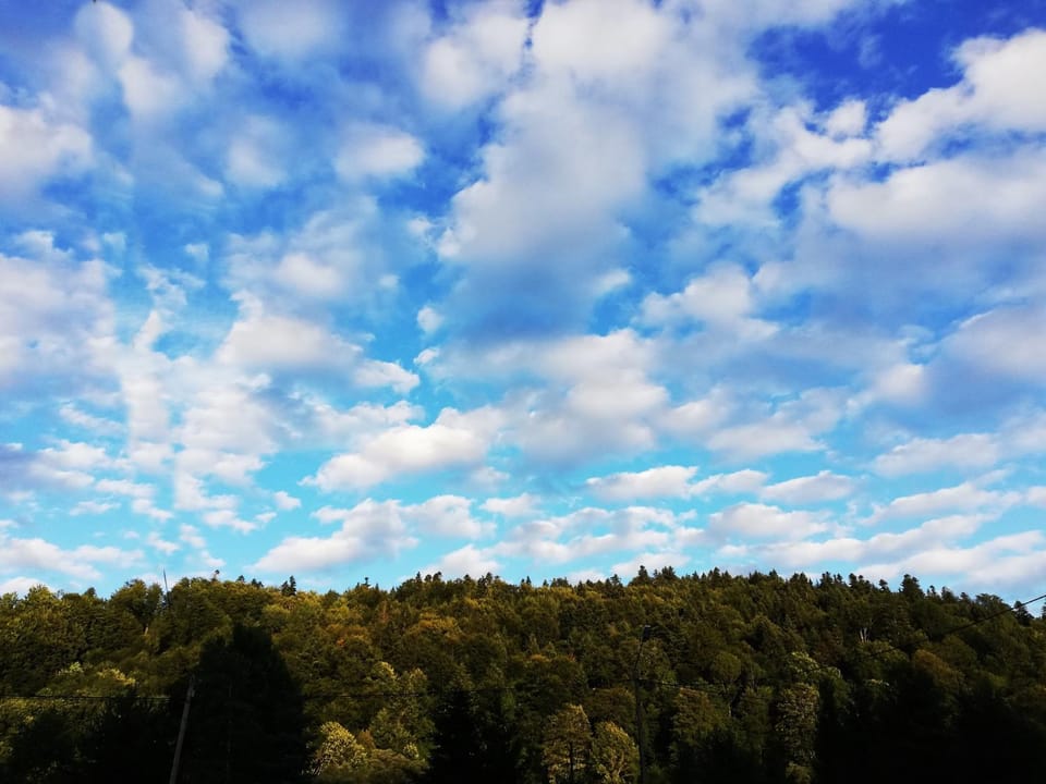 Spring, Natural landscape