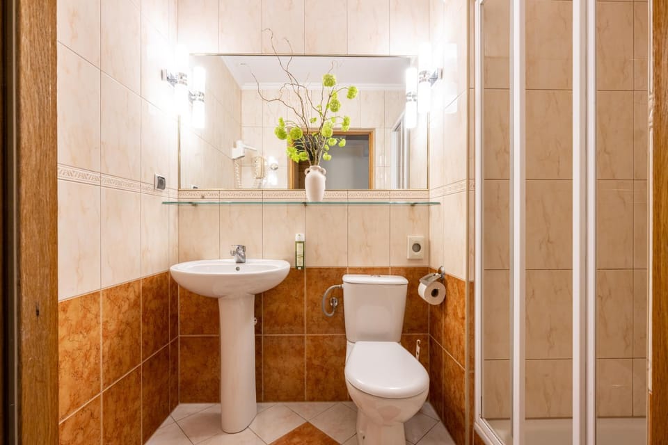 Shower, Toilet, Bathroom, towels