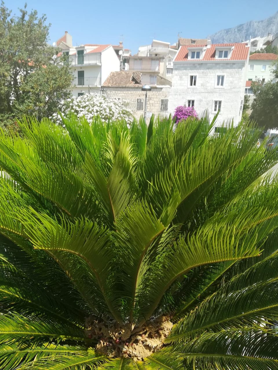 View (from property/room)