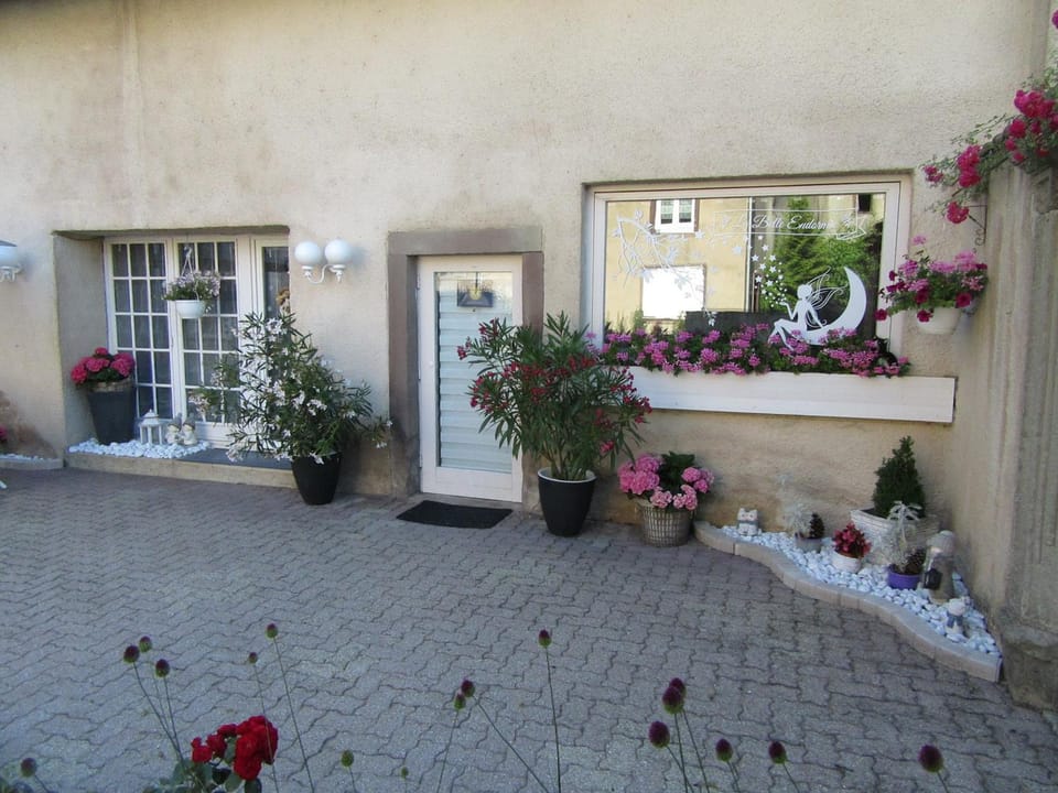 La belle endormie - appartement B Apartment in Grand Est