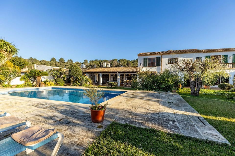 Garden, Garden view, Swimming pool, sunbed