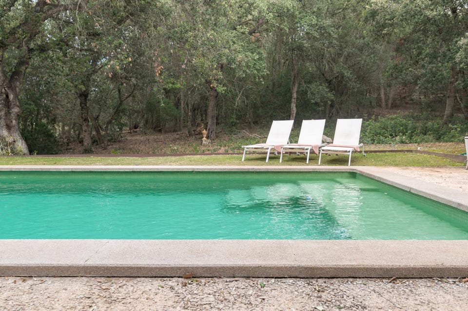 Day, Natural landscape, Garden, Garden view, Pool view, Swimming pool, sunbed