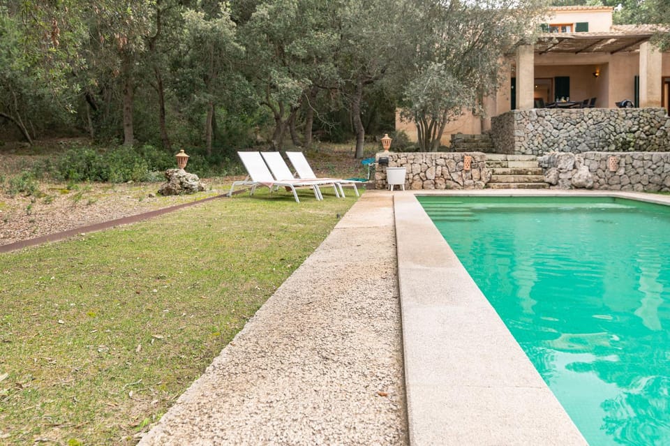 Property building, Patio, Day, Natural landscape, Garden, Garden view, Pool view, Swimming pool