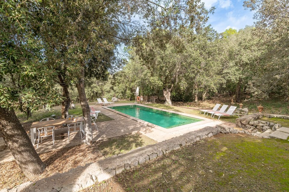 Day, Natural landscape, Garden, Garden view, Pool view, Swimming pool, sunbed