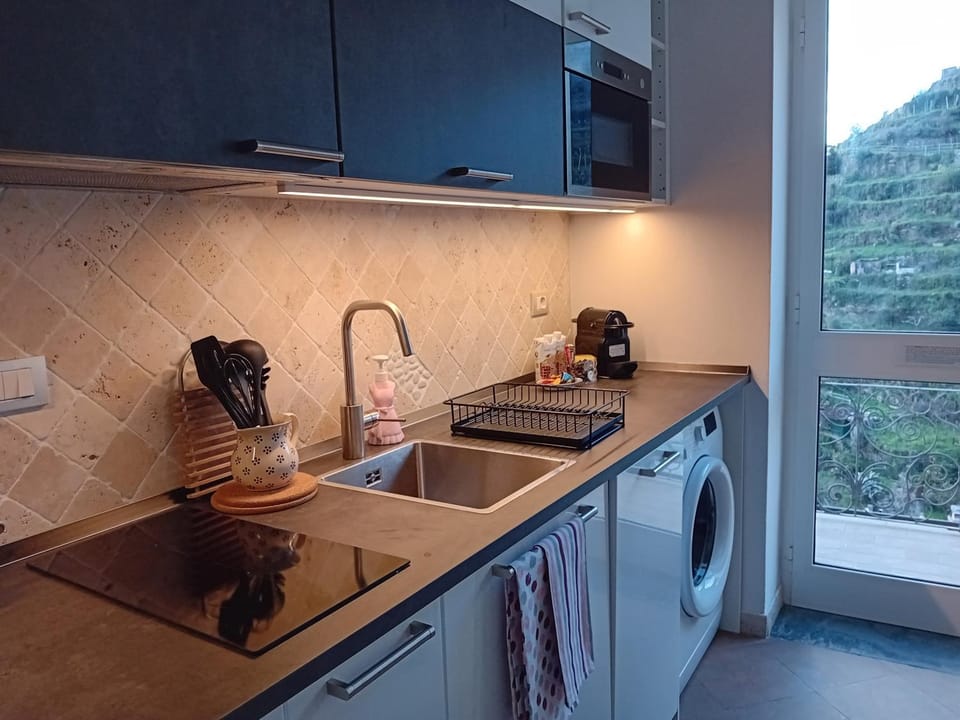 Kitchen or kitchenette, dishwasher, microwave, minibar, stove, toaster, washing machine