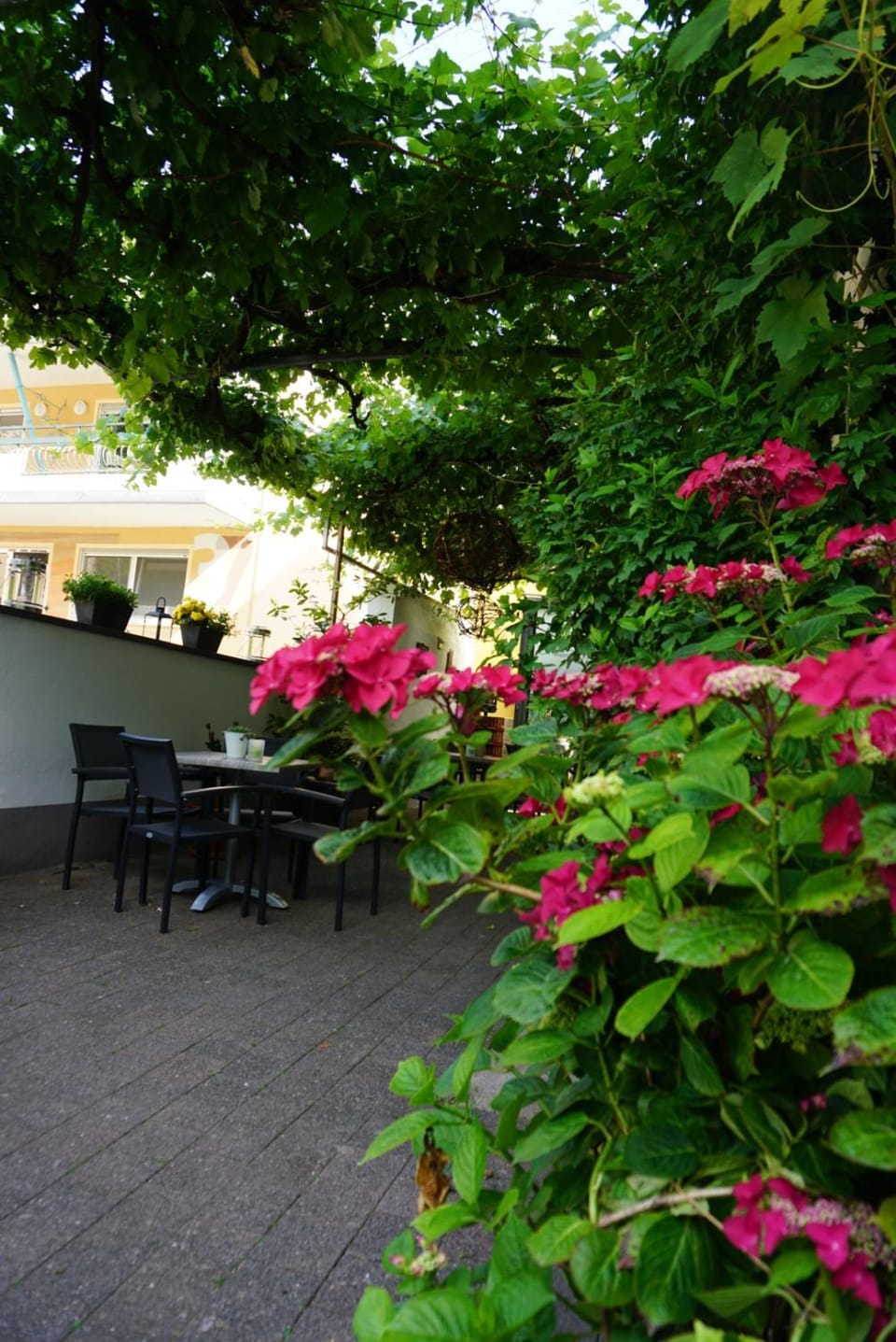 Weingut Göbel-Schausten Apartment in Cochem-Zell