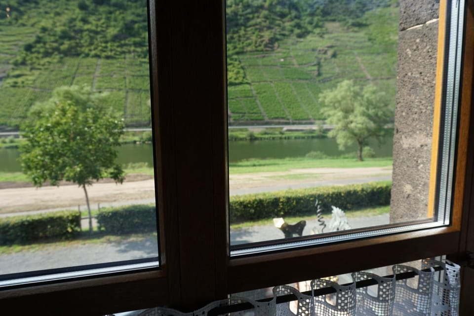 Weingut Göbel-Schausten Apartment in Cochem-Zell