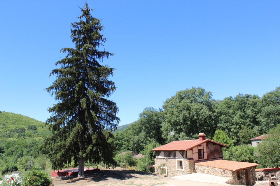 Alojamiento Turístico La alegría de la huerta House in Extremadura, Spain