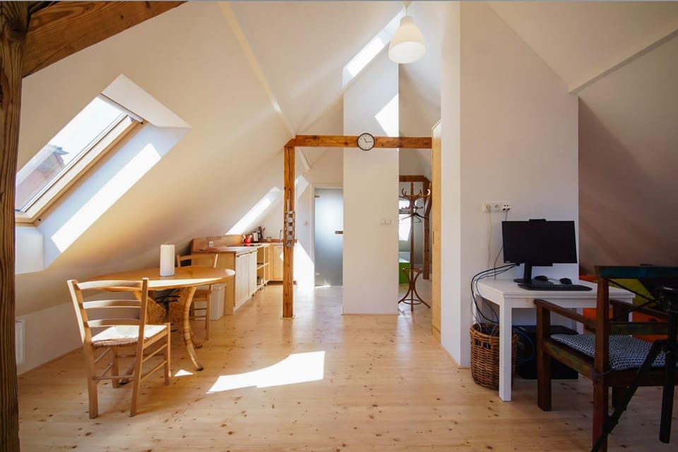 Apartmán Národní Vacation rental in Czechia