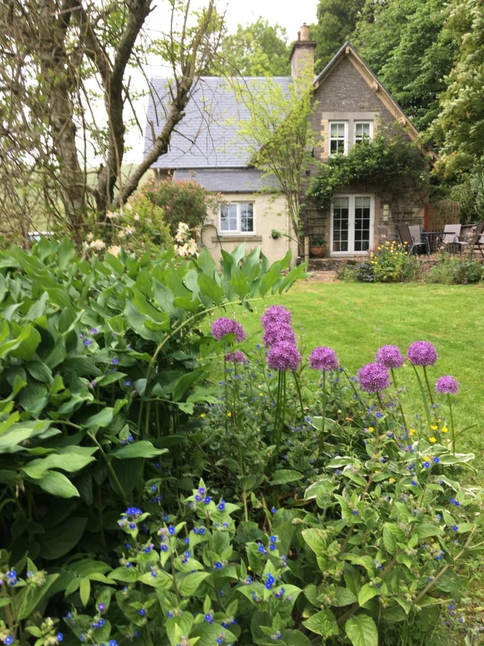 Willowherb and Foxglove Cottages Hawick House in England