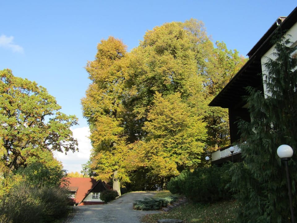 Sola Gratia Bed and Breakfast in Czechia