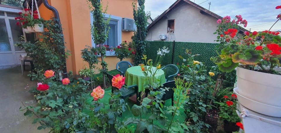 Apartman Lama Apartment in Vojvodina