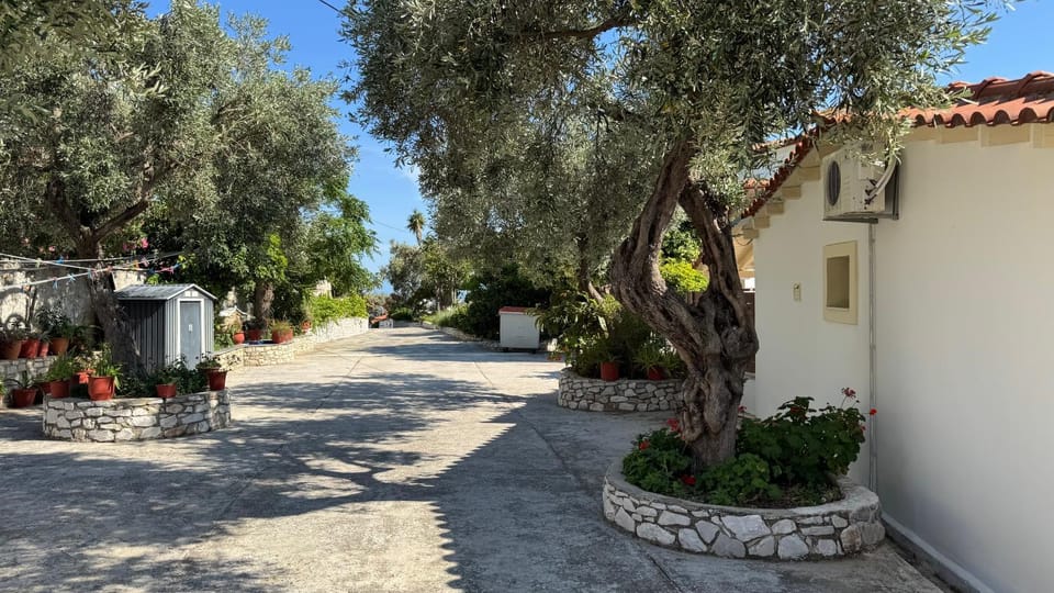 Day, Neighbourhood, Garden, Garden view
