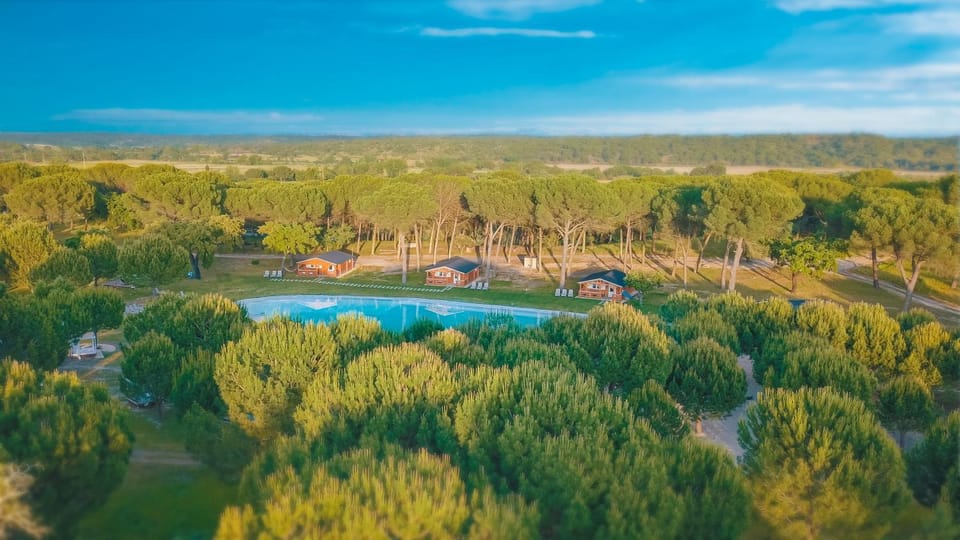 Chalet do Lago Farm Stay in Santarém District, Portugal