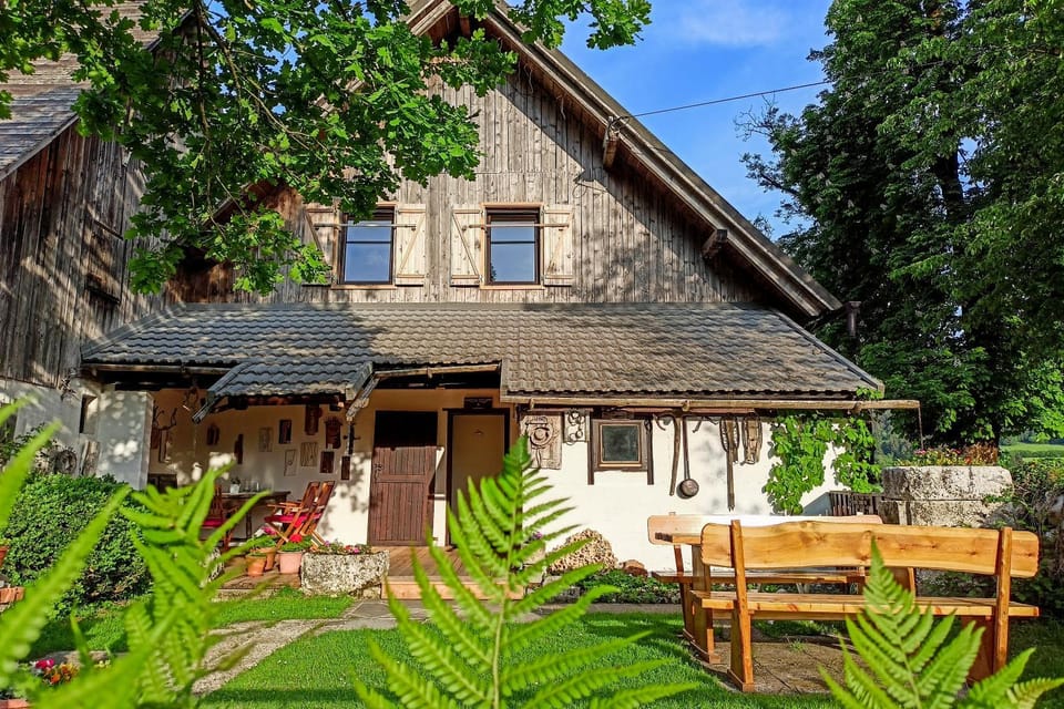 Patio, Garden, Balcony/Terrace
