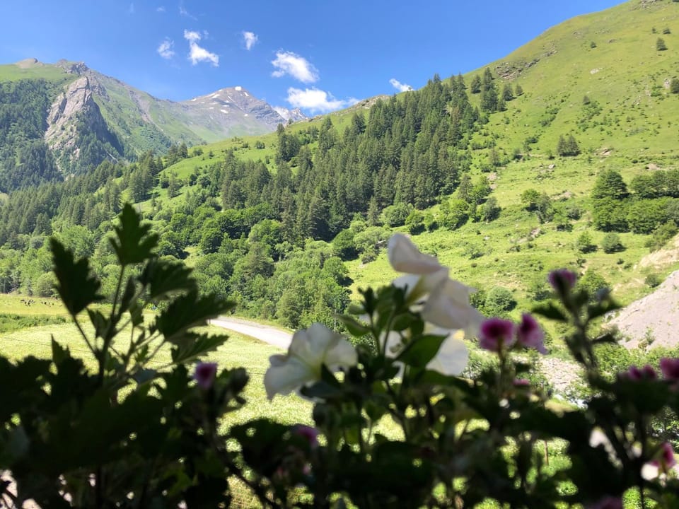Mountain view