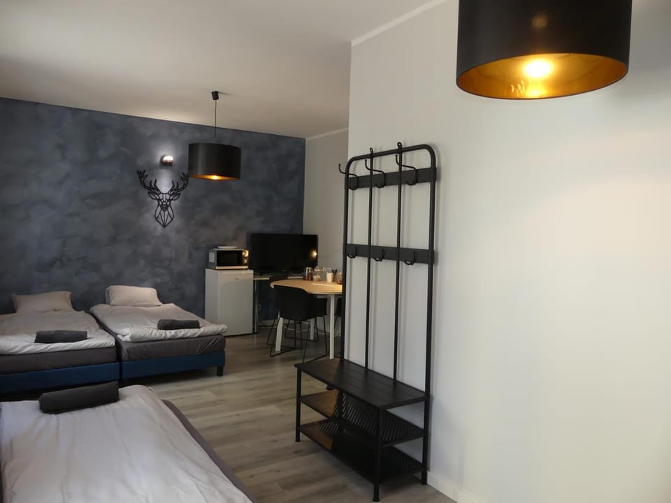 Studio Centrum Apartment in Poland