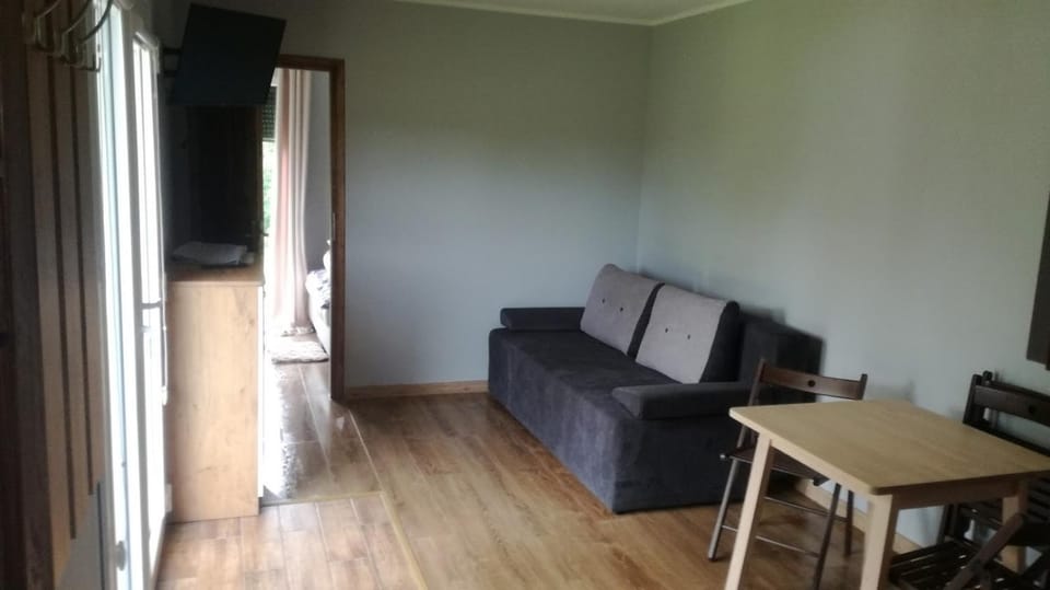 Living room, Photo of the whole room