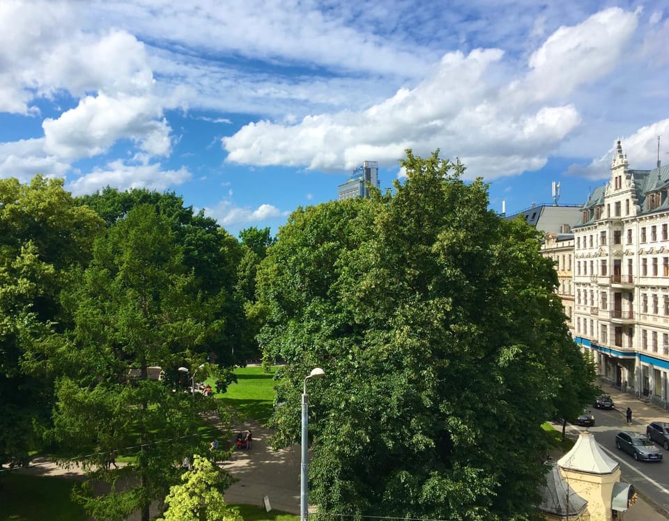 Garden view