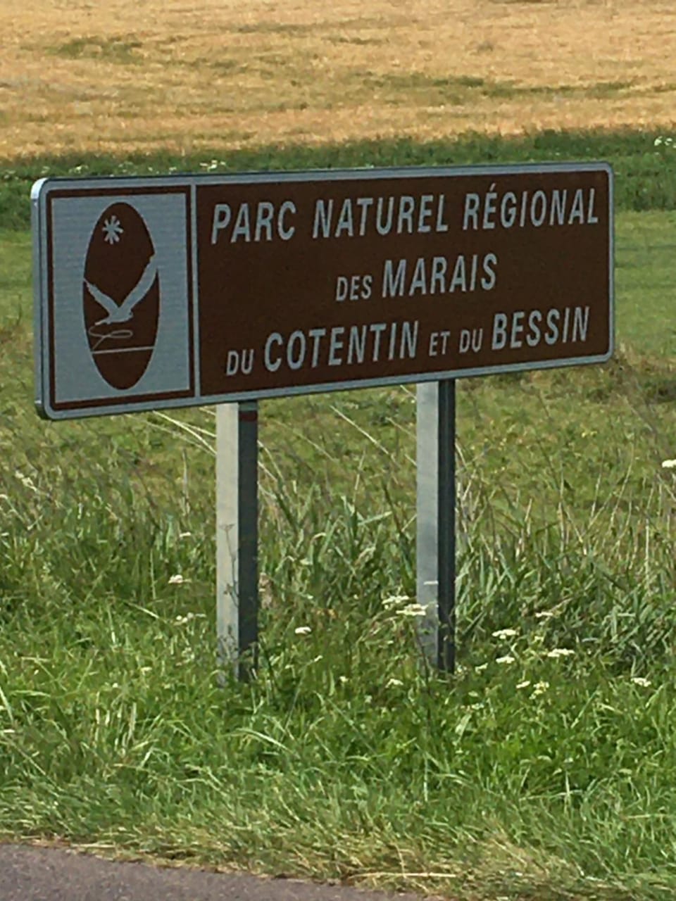 Natural landscape