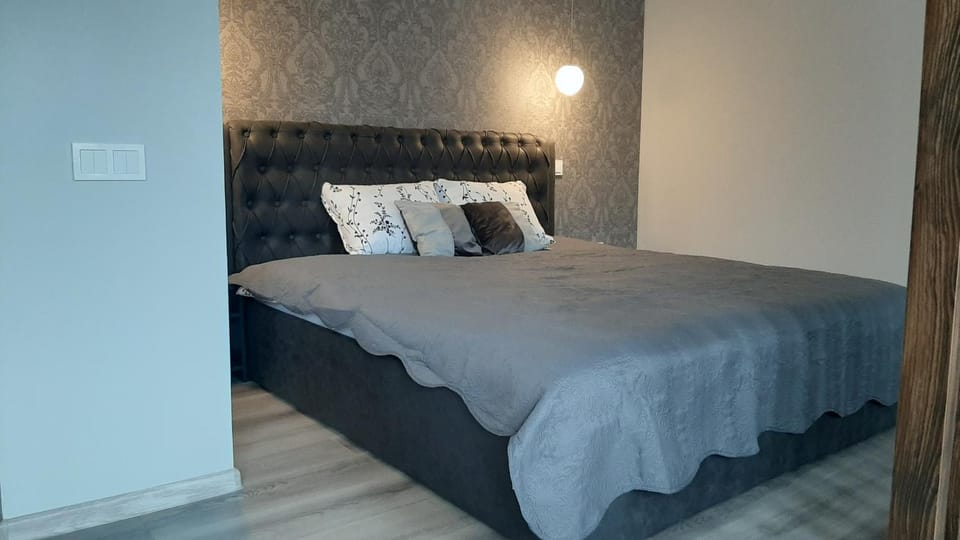 Jaukūs apartamentai-studija, centre Apartment in Lithuania