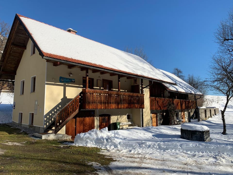 Winter, Garden, Garden view