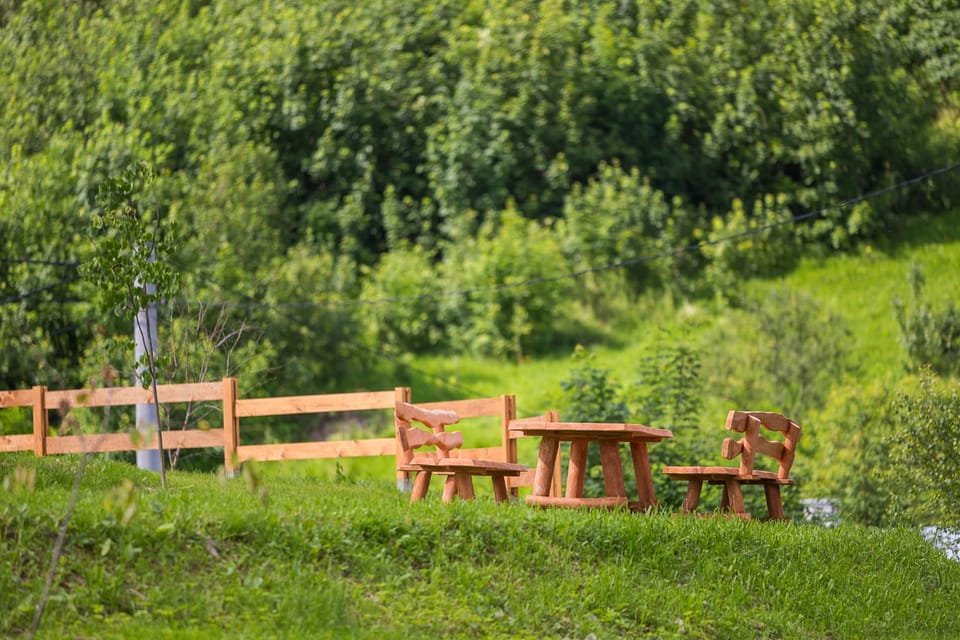 Spring, Day, Natural landscape, Garden, Garden view