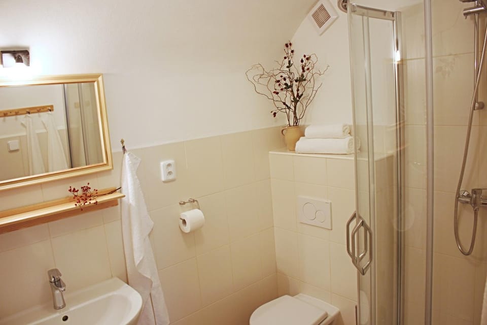 Shower, Toilet, Bathroom, Photo of the whole room, Decorative detail, Area and facilities, Area and facilities