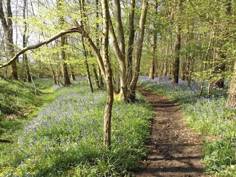 Bluebell Cottage at The Old Tractor Barn Apartment in Cherwell District
