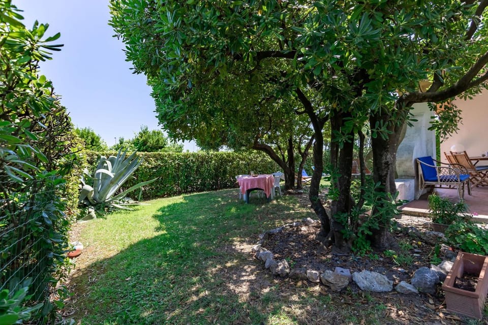 Italian Experience-Villa Il Pesco Villa in Marche