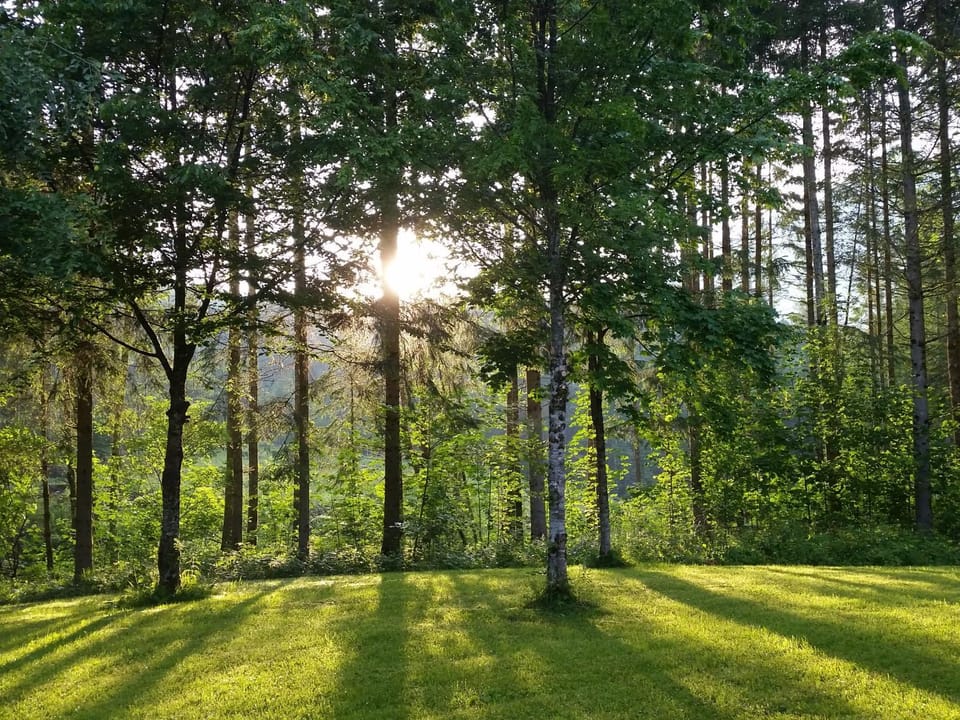 Natural landscape, Garden, Hiking