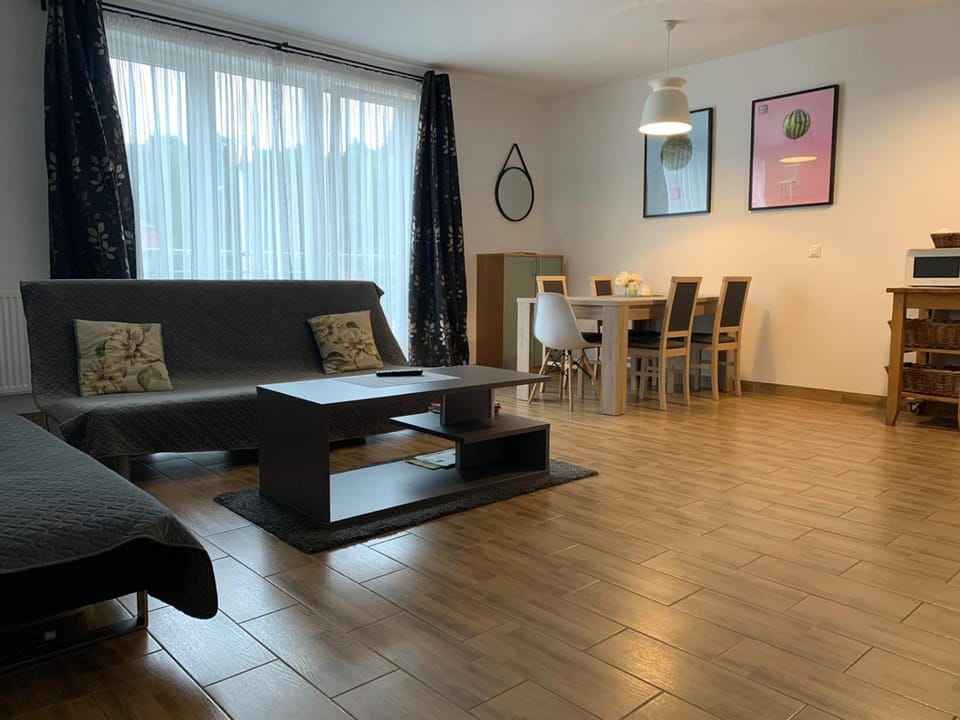 Piotr Aparts Apartment in Lower Silesian Voivodeship