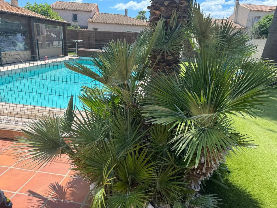La perle rare Apartment in Agde