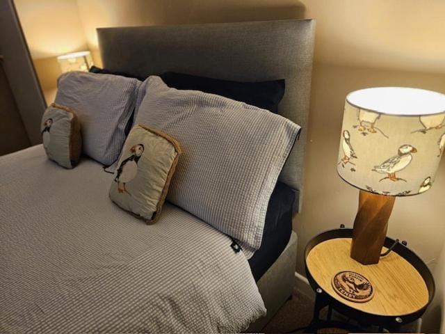 Sleepy Puffin Guest House Bed and Breakfast in Wales