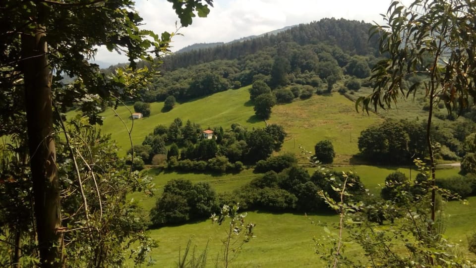 Natural landscape