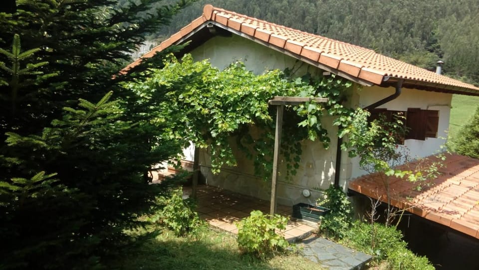 Property building, Garden view