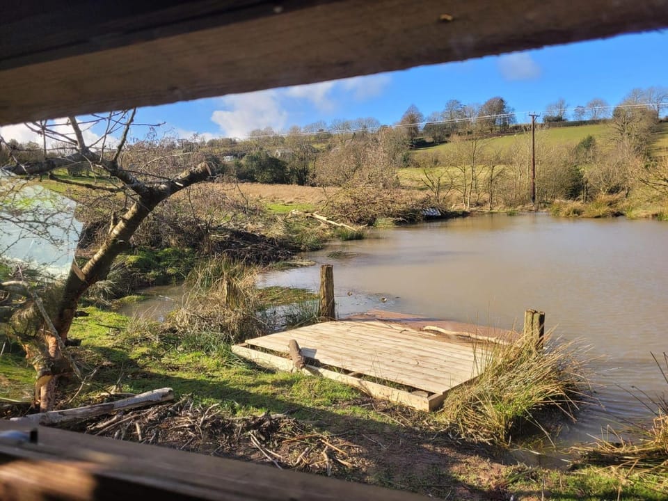 Cornflour Cozy Cabin Retreat Cabin in Wales