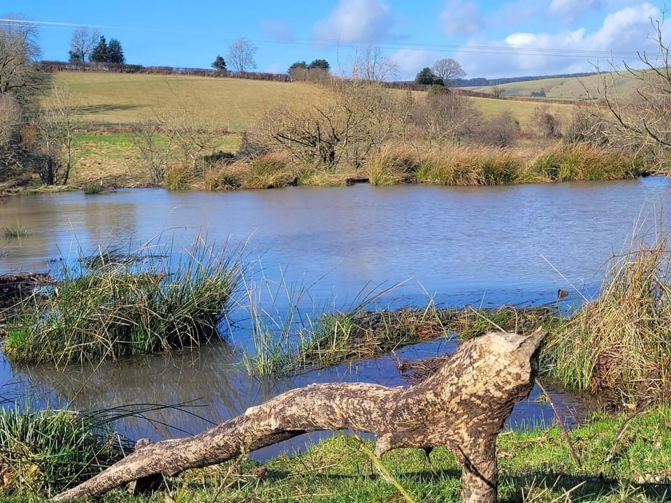 Cornflour Cozy Cabin Retreat Cabin in Wales