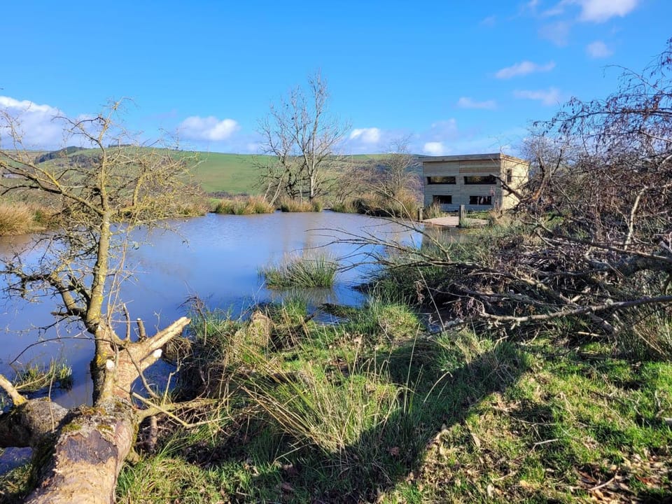 Cornflour Cozy Cabin Retreat Cabin in Wales